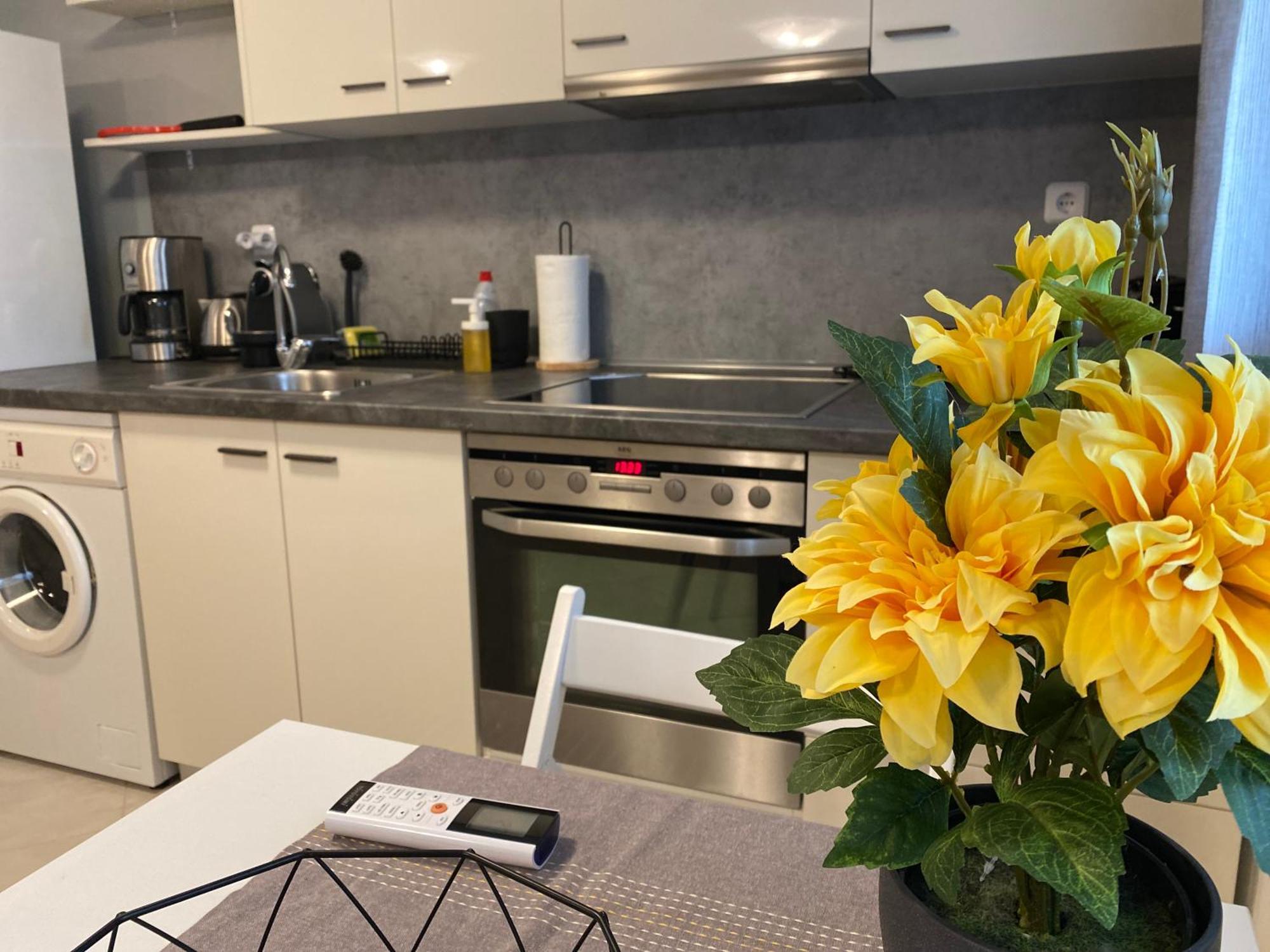 Aldebaran House Apartament